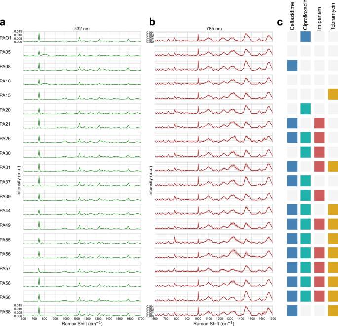 Fig. 1: Raman spectral library of 20 Pseudomonas aeruginosa clinical isolates and their associated sensitivities to four antibiotics.