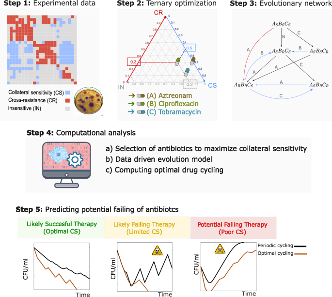 Fig. 1: Interactive Collateral Sensitivity Platform.