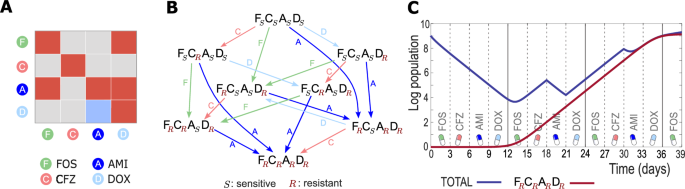 Fig. 3: Example of inadequate antibiotics selection.