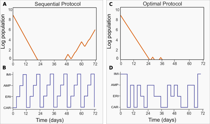 Fig. 6: Total population dynamics for the sequential protocol (Panels A and B) and the optimal protocol (Panels C and D).