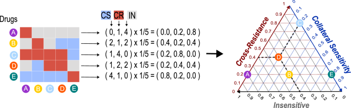 Fig. 9: Ternary diagram construction.