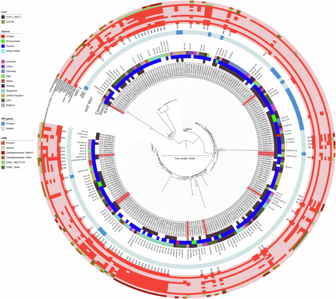 Fig. 2: Midpoint rooted maximum-likelihood core genome phylogenetic tree of K. pneumoniae ST20 (alignment length: 3,638,007 bp; variable sites: 29,487; IQTREE Best Fit Model: GTR + F+ R5).