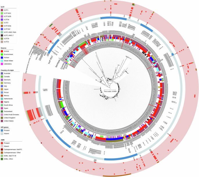 Fig. 4: Midpoint rooted, maximum likelihood core genome phylogenetic tree of E. coli ST399 (alignment length: 2,772,212 bp; variable sites: 28,844; IQTREE Best Fit Model: GTR + F + R2).