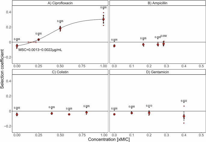 Fig. 1: Effect of antibiotics on the selection of the benzalkonium chloride (BAC)-tolerant strain S4 in competition with its ancestor (E. coli MG1655 wildtype, WT).