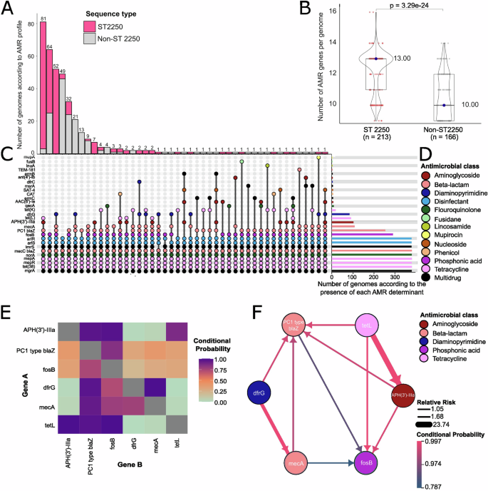 Fig. 3: Antimicrobial resistance (AMR) determinants of S. argenteus.