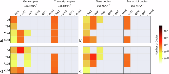 Fig. 3: Heatmap of ARG gene and transcript copies per 16S rRNA across BWDRs.