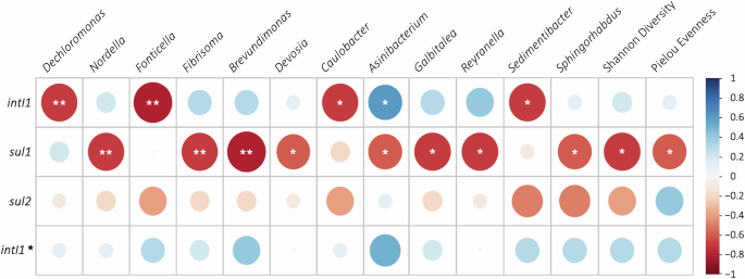 Fig. 4: Bubble correlation matrix of ARGs and biofilm genera.