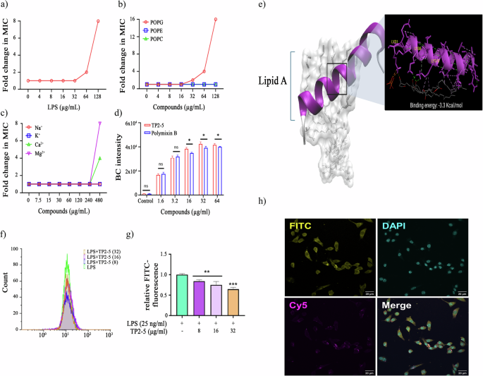 Fig. 4: TP2-5 interactions with membrane components and LPS-related assays.
