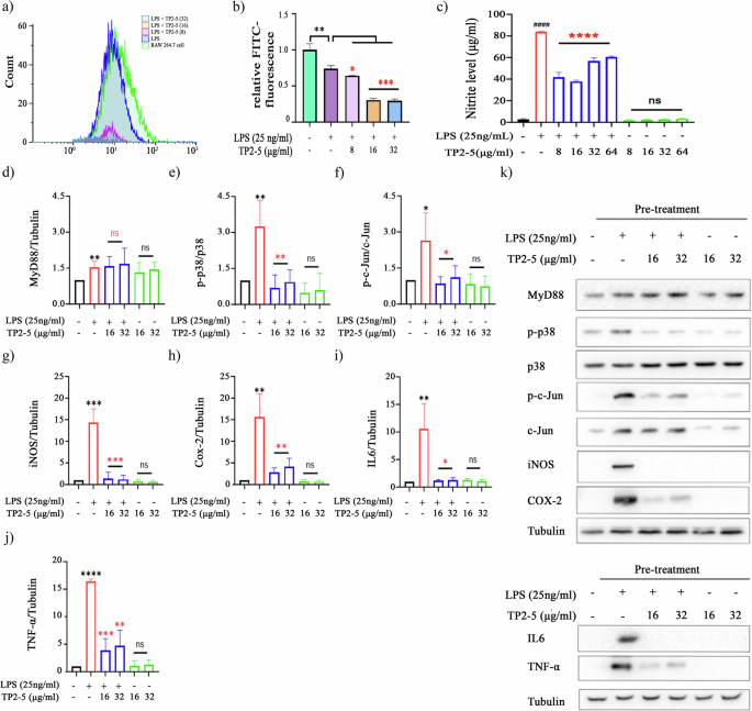 Fig. 5: TP2-5 attenuates LPS binding and LPS-induced infl ammatory signaling in macrophages.