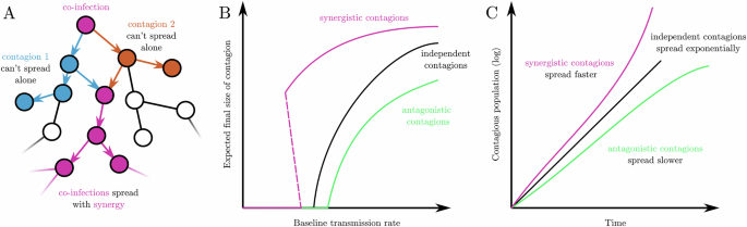 Fig. 1: Illustration of the dynamics of interacting contagions.