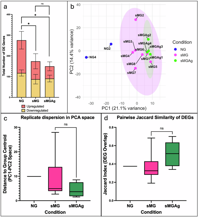 Fig. 1: Global transcriptional structure and replicate similarity across NG, sMG, and sMGAg populations.