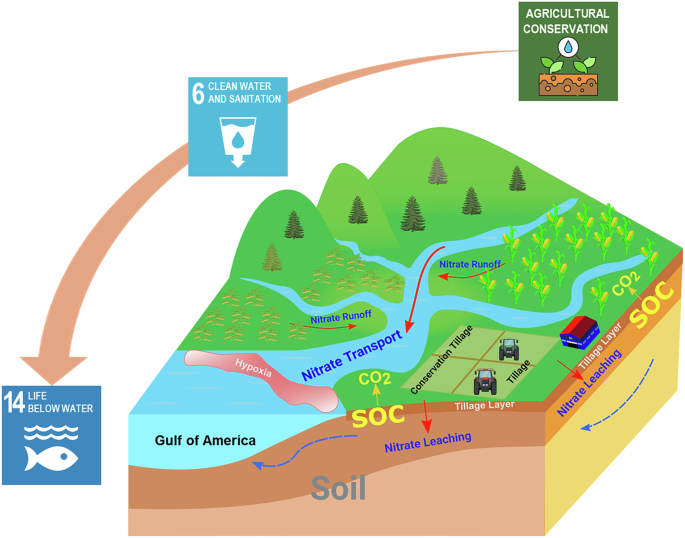 Fig. 1: Schematic illustration of the impacts of conservation tillage on soil health, water quality, and hypoxia in coastal waters.