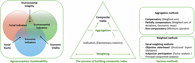 Fig. 5: A visual representation illustrating the connections among the key steps in creating a composite agroecosystem sustainability index and selecting methods.