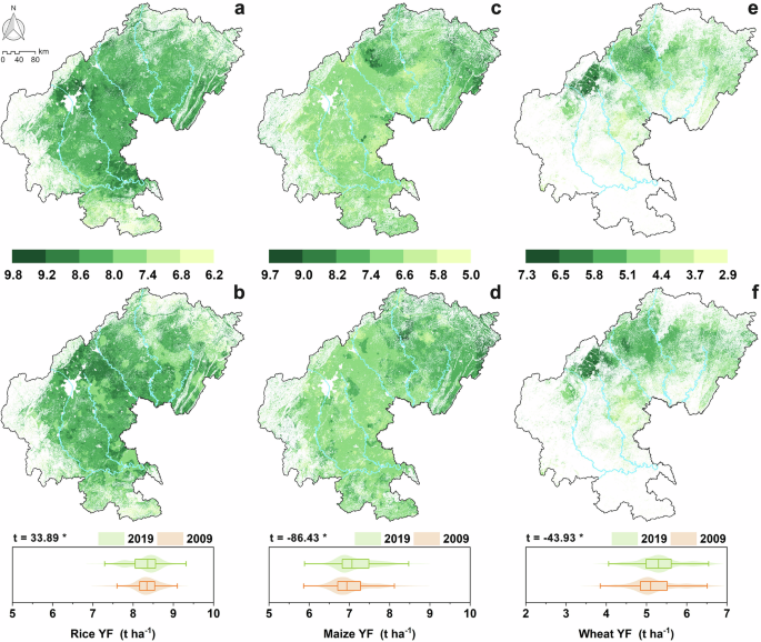 Fig. 2: Spatial distributions of the crop fertilized yield (YF) from 2009 to 2019 in SW China.