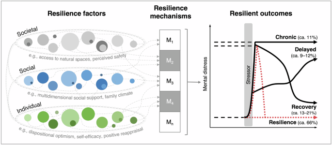 Fig. 1: Theoretical framework underlying this systematic review.