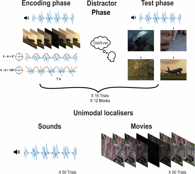 Fig. 1: Experiment procedure.