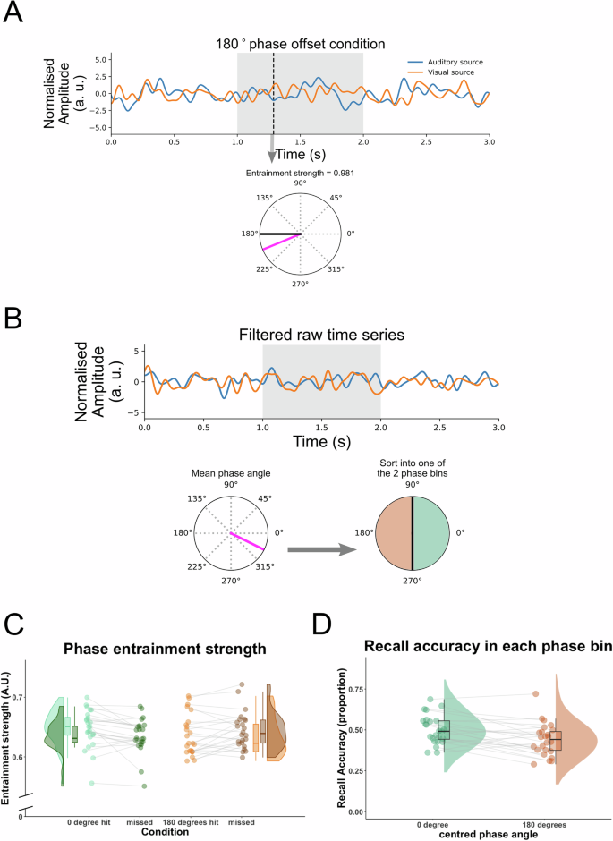 Fig. 3: Trial-by-trial variability in 4 Hz phase differences between auditory and visual sources.