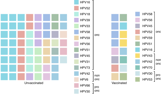Fig. 5: Waffle chart showing the distribution of HPV types in unvaccinated and vaccinated dysplasia women.