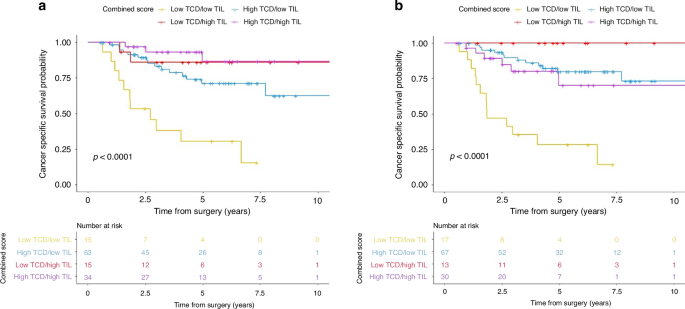 Fig. 2: Cancer specific survival according to combined TIL density and TCD score by annotated region.