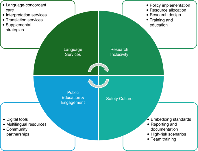 Fig. 3: Key domains for addressing cancer care disparities in individuals with limited English proficiency.