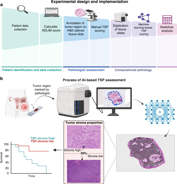 Fig. 1: Overall workflow.