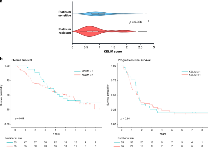 Fig. 2: KELIM is significantly associated with platinum status in all patients.