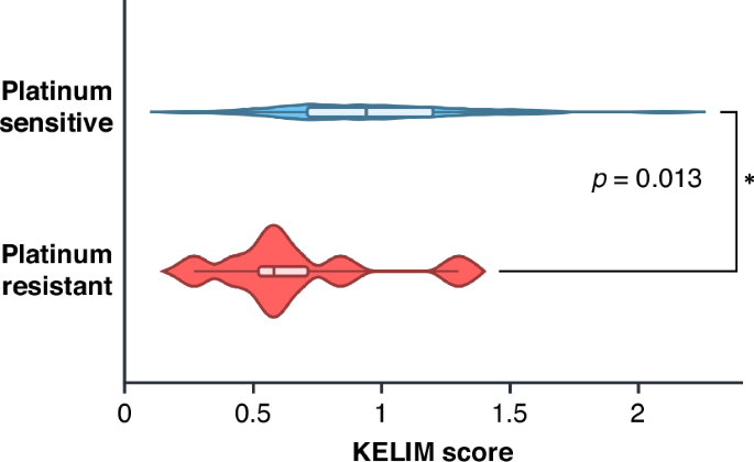 Fig. 3: KELIM is significantly associated with platinum status in patients that received adjuvant chemotherapy.