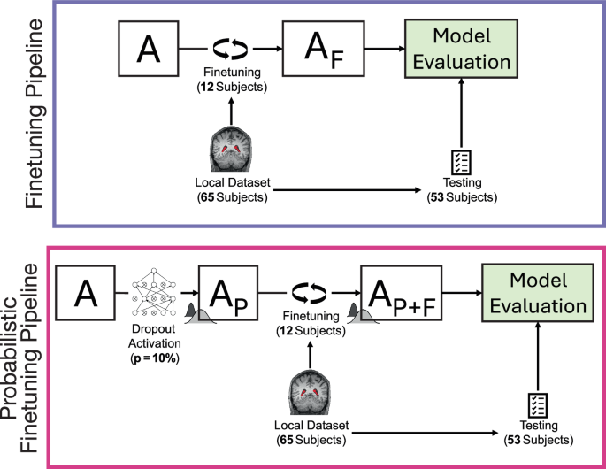 Fig. 1: Pipeline for the finetuning of ASCHOPLEX for the deterministic (top) and probabilistic (bottom) variants.