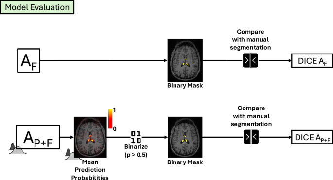 Fig. 2: Pipeline for the model evaluation of the Finetuned (top) and Probabilistic Finetuned (bottom) version of the ASCHOPLEX algorithm.
