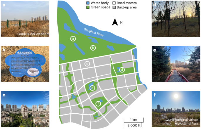 Fig. 1: Land-use and nature-related features of Qunli New Town, Harbin.