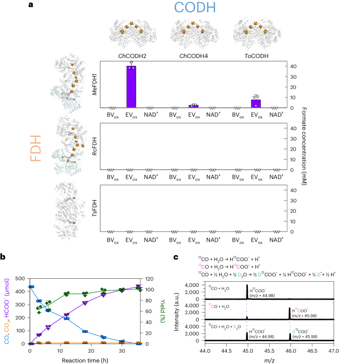 Fig. 2: Examination and optimal conditions for enCOH.
