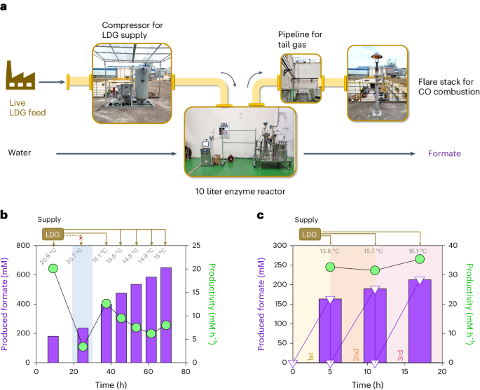 Fig. 6: Field operation of the 10-l enCOH reactor with live off-gas.
