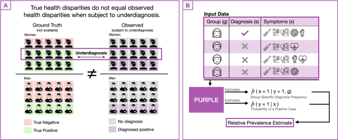 Fig. 1: Underreporting can skew observed relative prevalences and conceal health disparities.