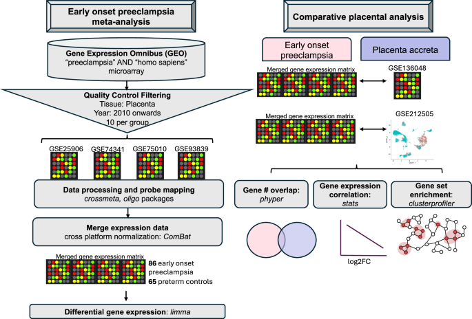 Fig. 1: Study methodology overview.
