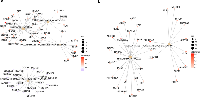 Fig. 7: Pathway analysis of overlapping genes between early onset preeclampsia and placenta accreta.