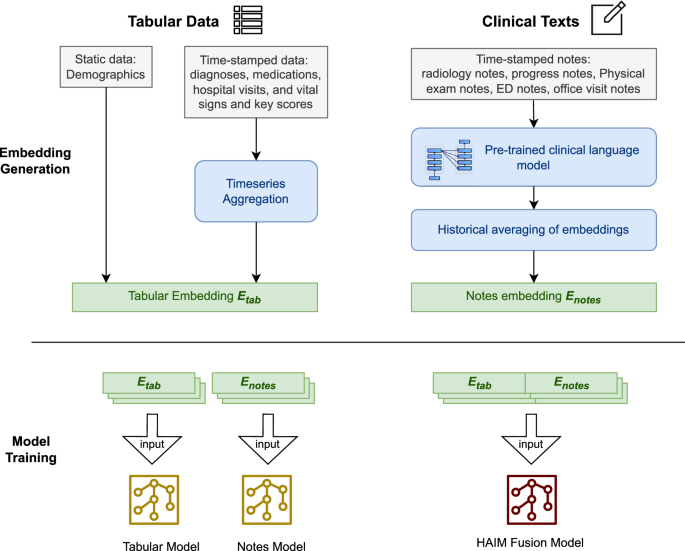 Fig. 5: Single modality and fusion model pipeline.