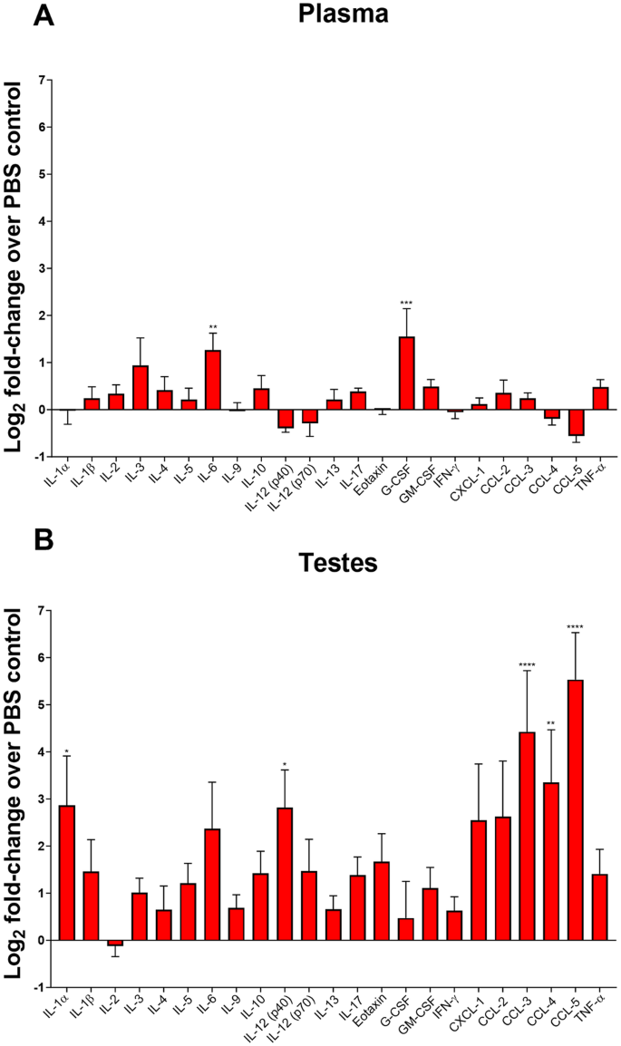 Fig. 3: Long-term ZIKV infection of A129 mice induces local activation of cytokines and chemokines.