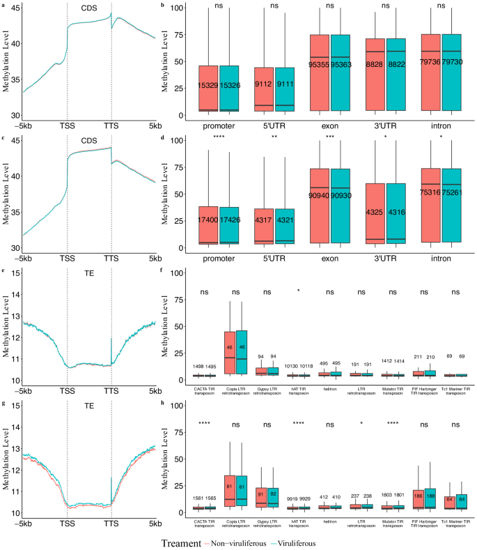 Fig. 1: CpG methylation levels of genomic features within non-viruliferous and viruliferous Bemisia tabaci.