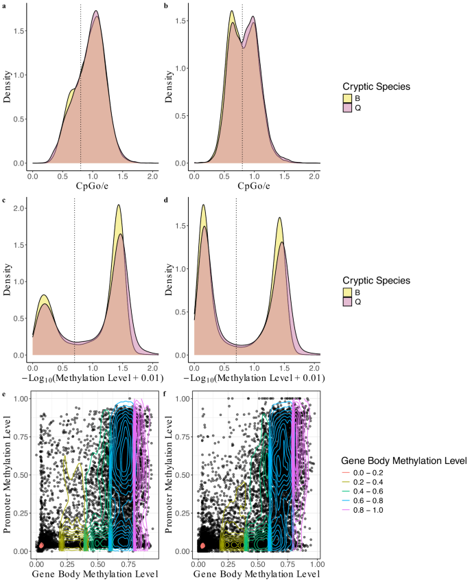Fig. 2: Distributions of CpGo/e and methylation levels within the promoter regions and gene bodies of Bemisia tabaci B (# of genes = 15,229) and Q (# of genes = 17,416) cryptic species.