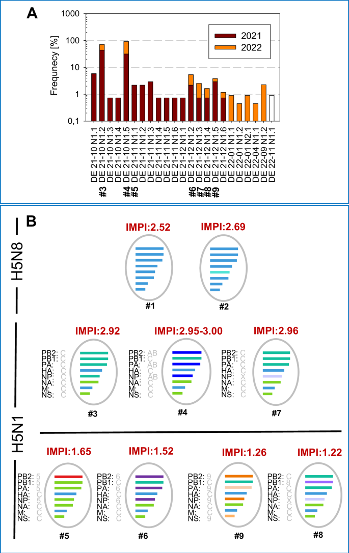 Dominant HPAIV H5N1 genotypes of Germany 2021/2022 are linked to high virulence in Pekin ducklings