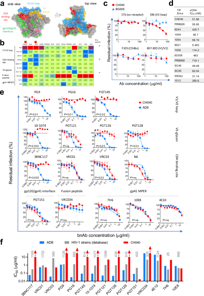 Incompletely closed HIV-1CH040 envelope glycoproteins resist broadly neutralizing antibodies while mediating efficient HIV-1 entry Incompletely closed HIV-1CH040 envelope glycoproteins resist broadly neutralizing antibodies while mediating efficient HIV-1 entry