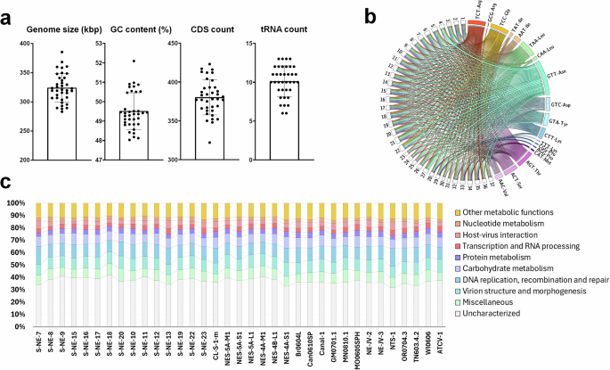 Revealing the hidden diversity of Chlorella heliozoae-infecting giant viruses