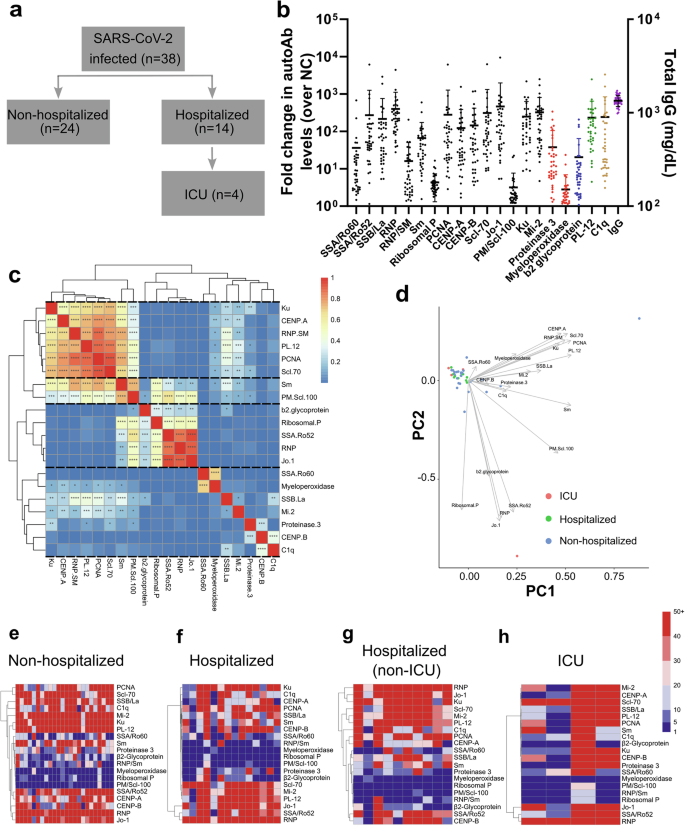 Fig. 1: Detection of autoantibodies in the cohort and clustering analysis.