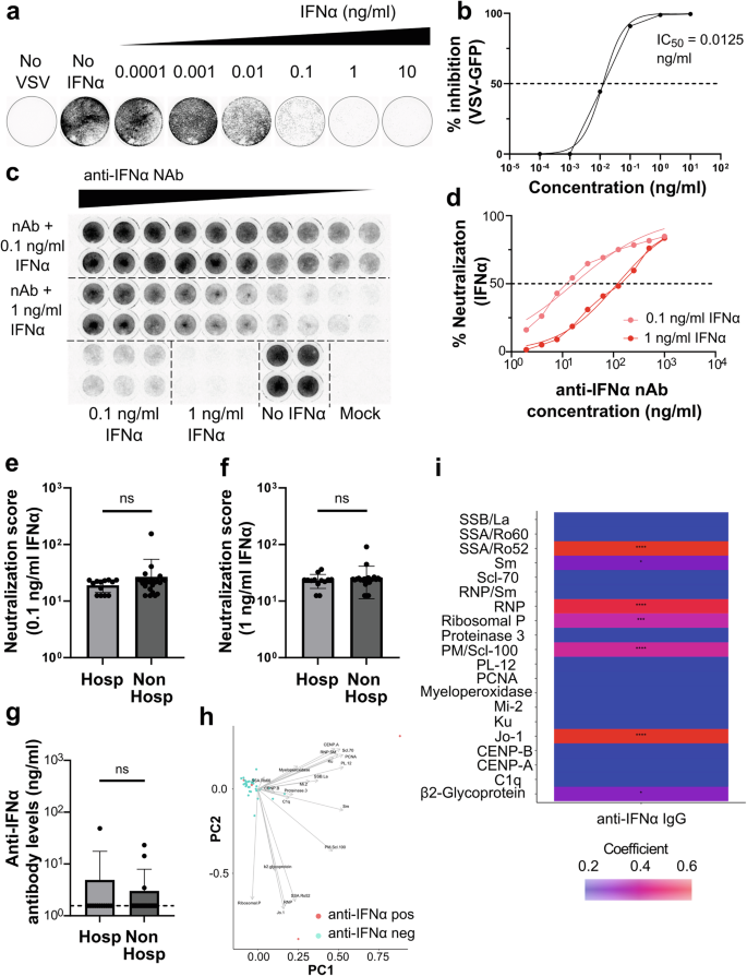 Fig. 3: Detection of anti-IFNα antibodies and their association to hospitalization.