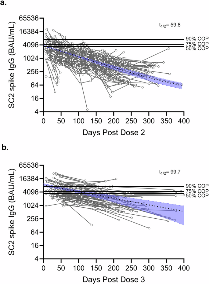 Fig. 1: Vaccine-induced SARS-CoV-2 IgG durability improves after three doses.
