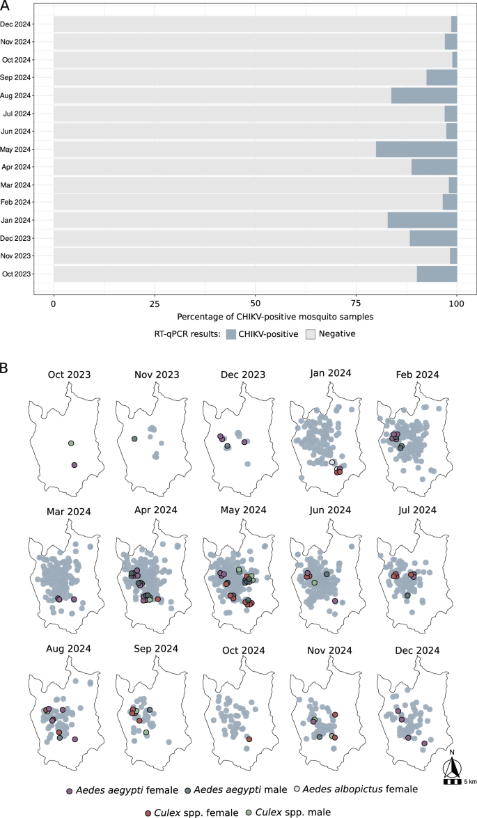 Fig. 3: Entomological surveillance and spatial-temporal distribution of CHIKV.