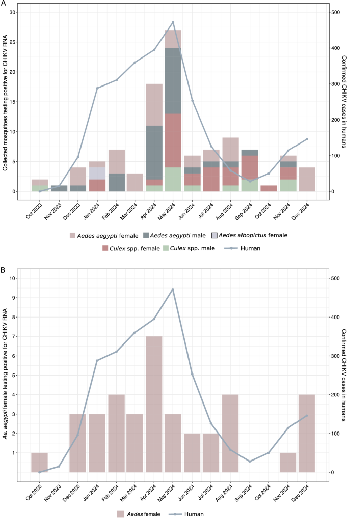Fig. 4: Monthly distribution of CHIKV-positive mosquitoes and confirmed human cases.