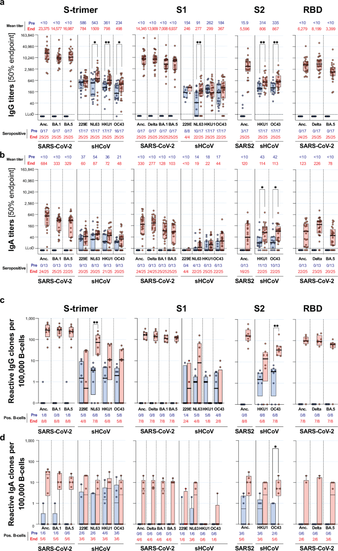 Fig. 2: Serum IgG and IgA antibody titers and B-cell frequencies to seasonal human coronaviruses and SARS-CoV-2.