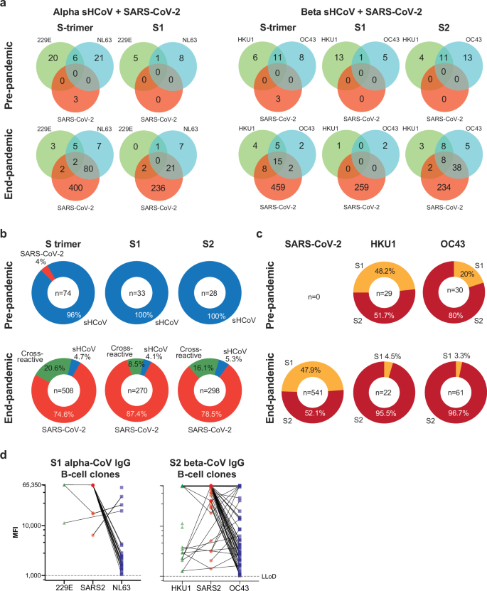 Fig. 4: Quantification of reactive IgG B-cell clones.