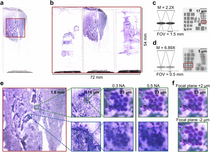 Fig. 2: FOV and resolution demonstration of the MCAS.
